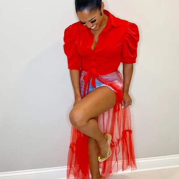 Sexy Short Sleeve Turn Down Collar Tie Mesh Dress - Picture 5 of 13